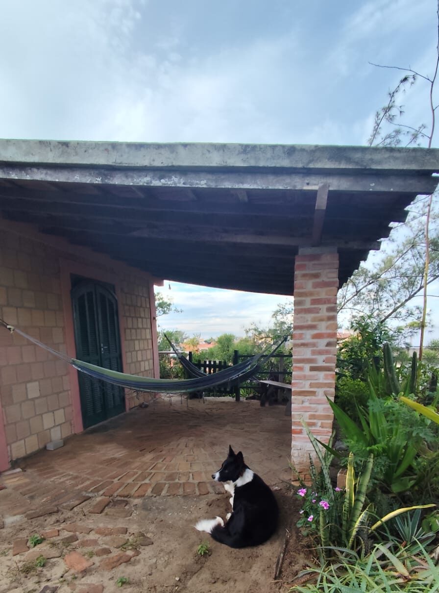 WhatsApp Image 2026-04-04 at 13.58.46